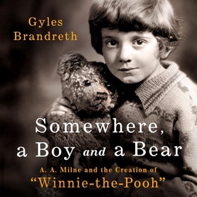 SOMEWHERE, A BOY AND A BEAR